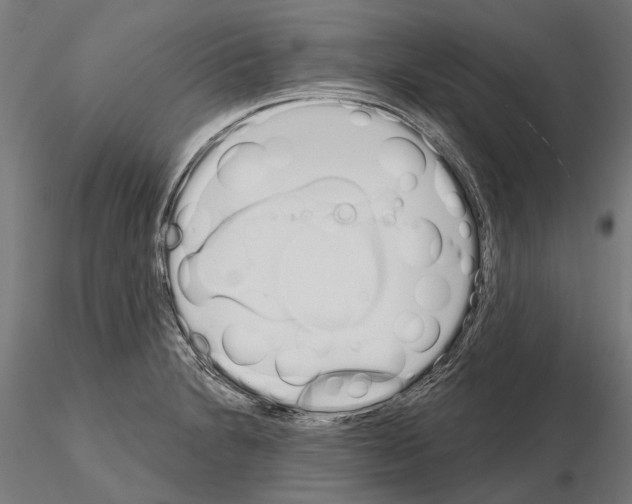 X0000115111230200912081314