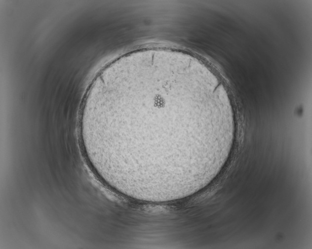 X0000115111231200912081314