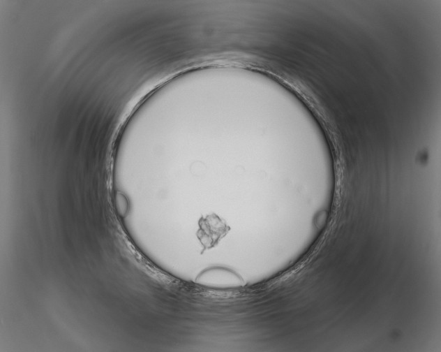 X0000115111232200912081314