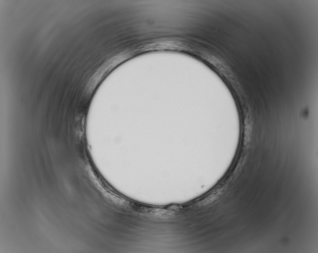 X0000115111233200912081314