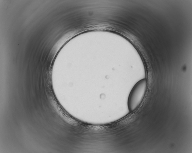 X0000115111234200912081314