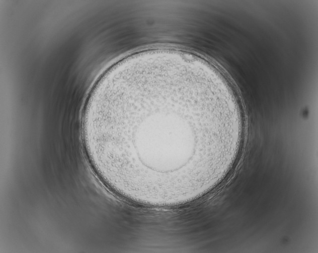 X0000115111238200912081314