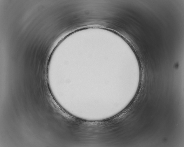 X0000115111240200912081314