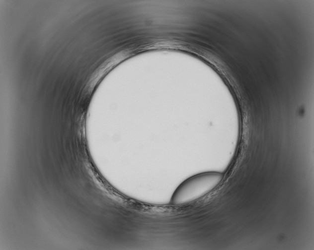 X0000115111241200912081314