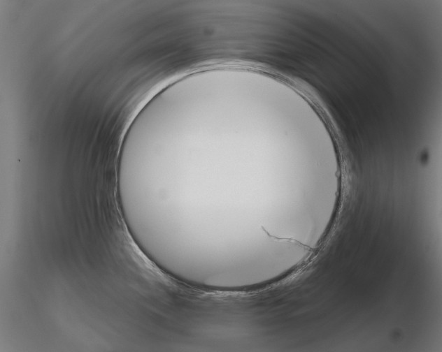 X0000115111244200912081314