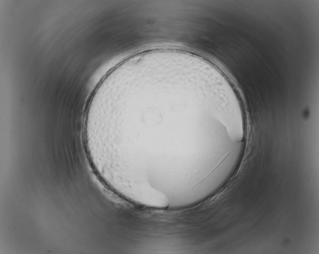 X0000115111245200912081314