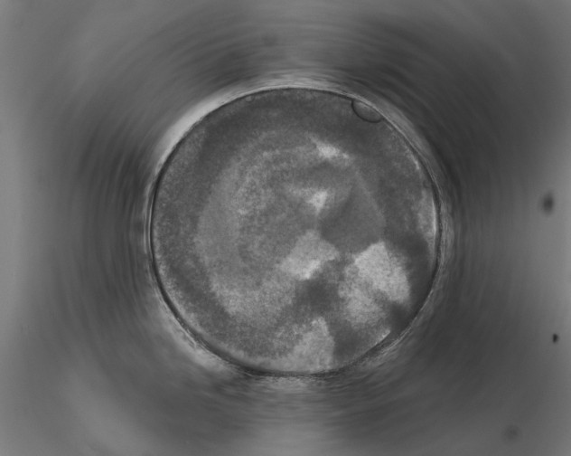 X0000115111246200912081314