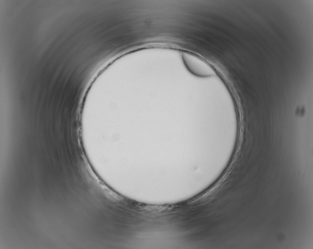 X0000115111248200912081314