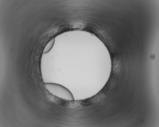 X0000115111249200912081313