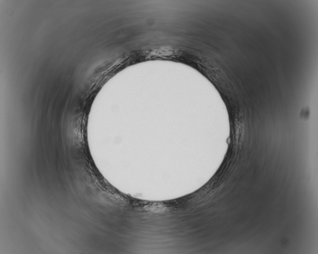 X0000115111250200912081313