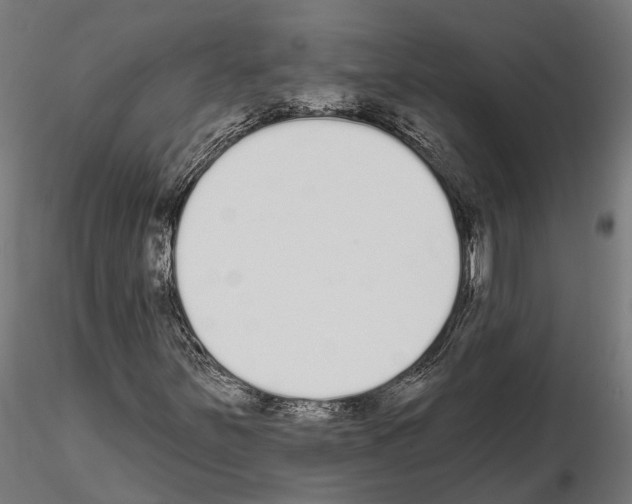 X0000115111251200912081313