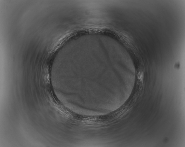 X0000115111252200912081313