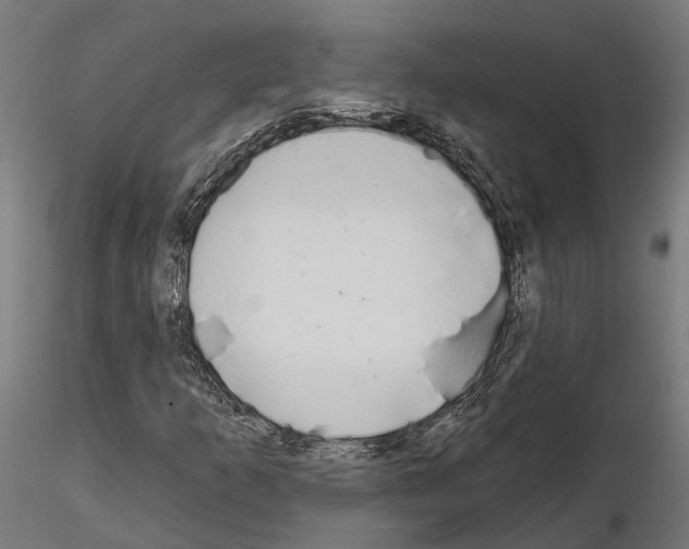 X0000115111253200912081313