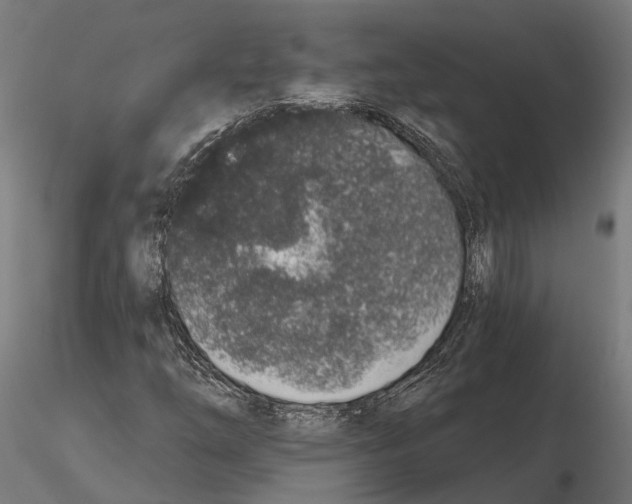 X0000115111254200912081313