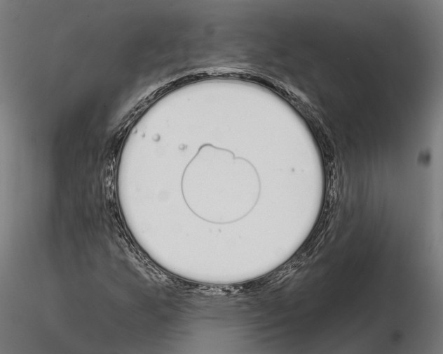 X0000115111255200912081313