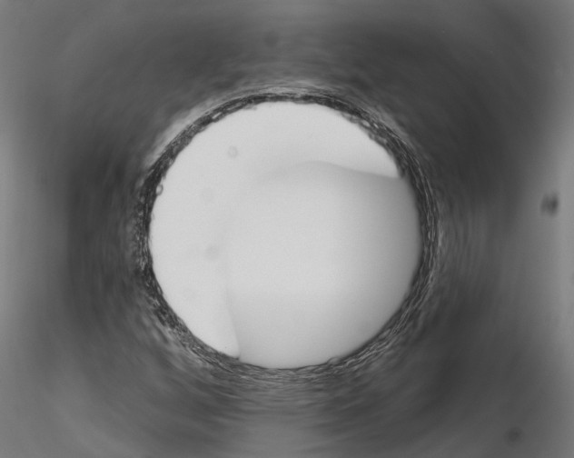 X0000115111256200912081313