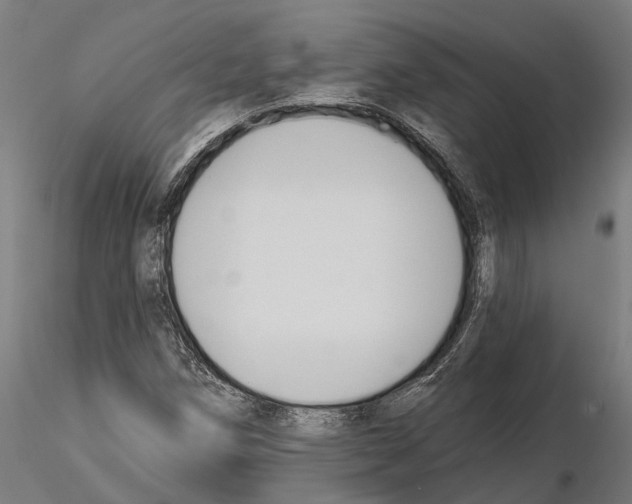 X0000115111258200912081313