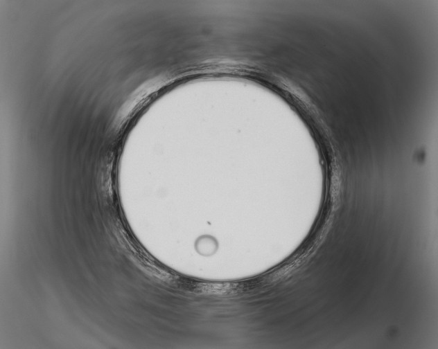 X0000115111259200912081313