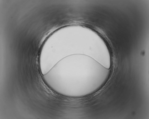 X0000115111260200912081313