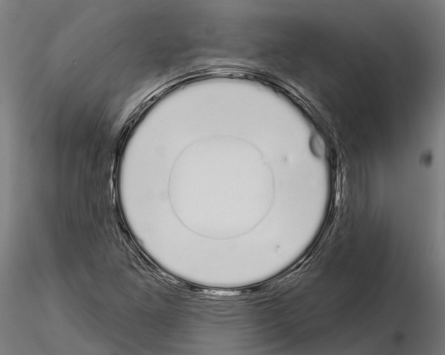 X0000115111261200912081313