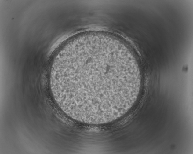 X0000115111263200912081313