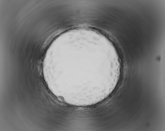 X0000115111265200912081313