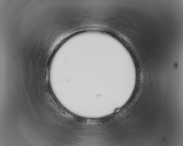 X0000115111267200912081313