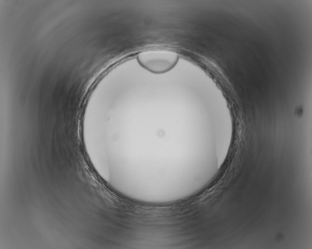 X0000115111268200912081313