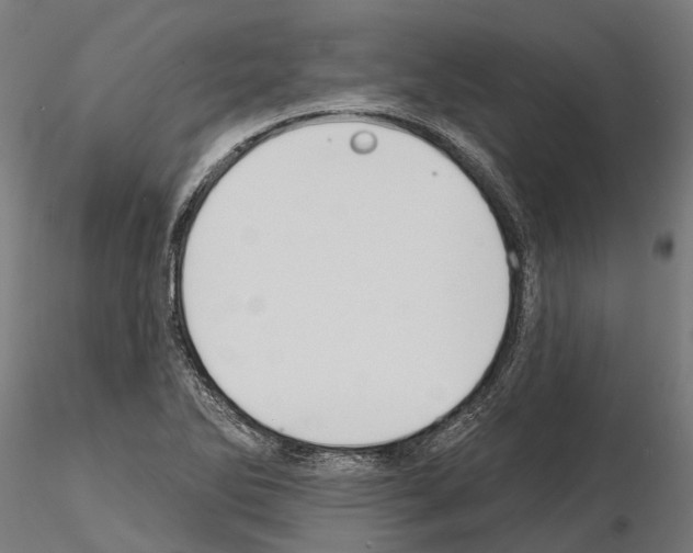 X0000115111270200912081313