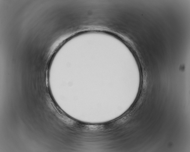 X0000115111271200912081313