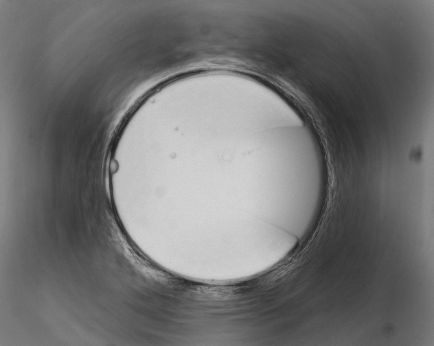 X0000115111272200912081313