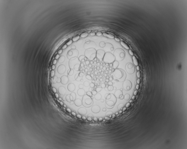 X0000115111274200912081313