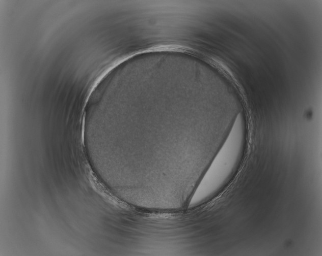 X0000115111276200912081313