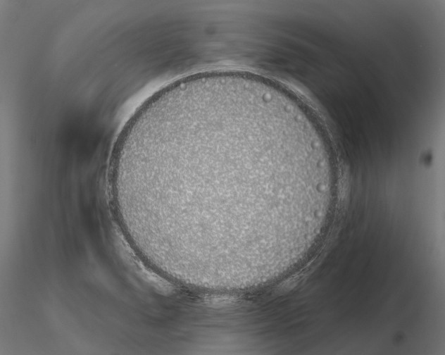 X0000115111278200912081313