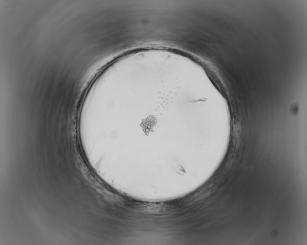 X0000115111279200912081313