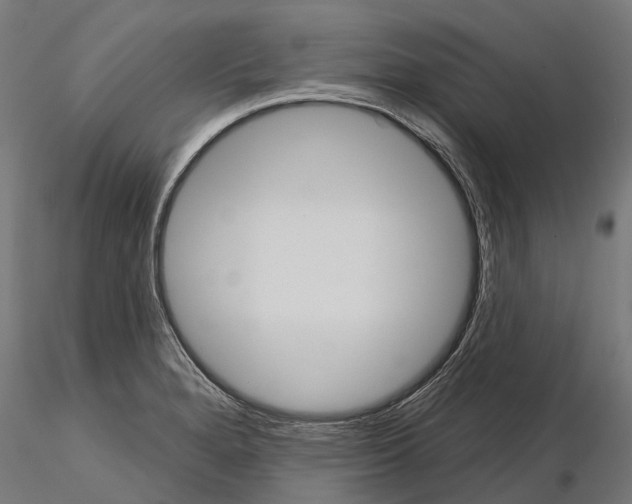 X0000115111280200912081313