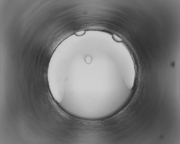 X0000115111281200912081313