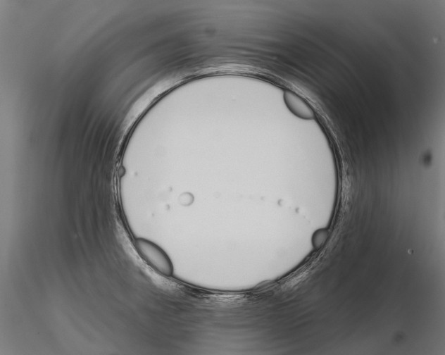 X0000115111282200912081313