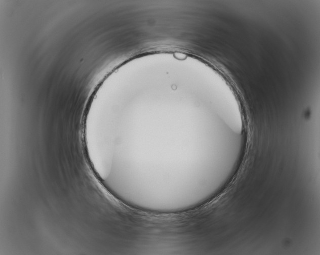 X0000115111285200912081313