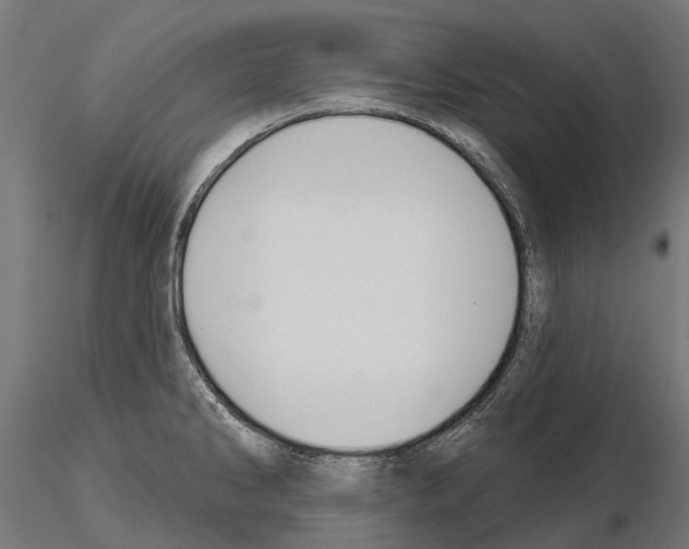 X0000115111286200912081313