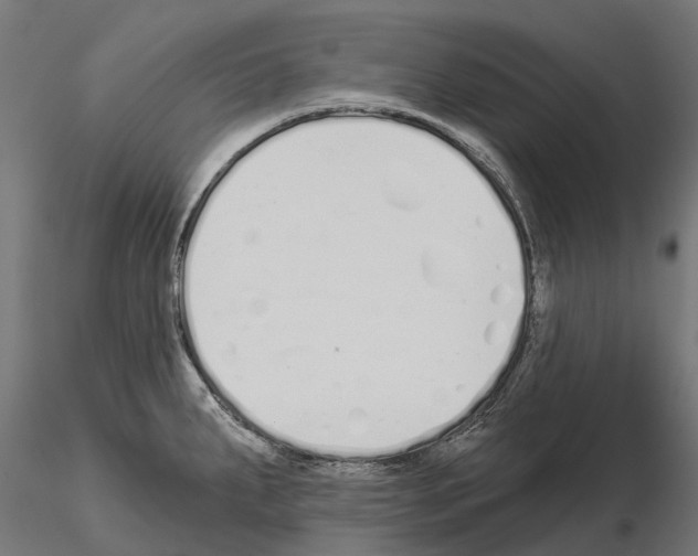 X0000115111287200912081313