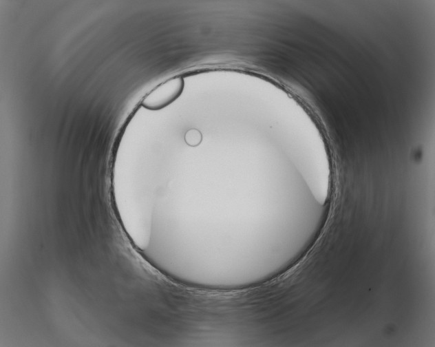 X0000115111288200912081313