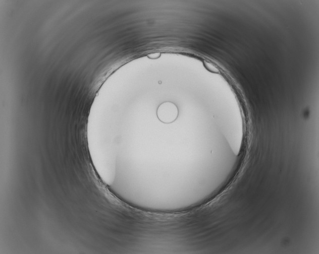 X0000115111289200912081313