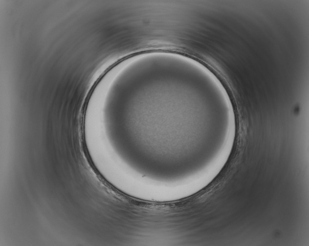 X0000115111291200912081313