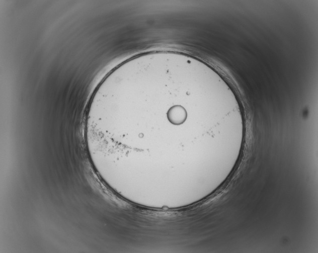 X0000115111292200912081313