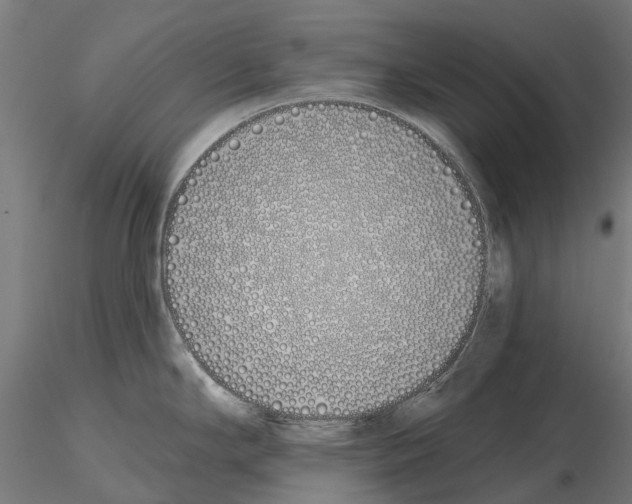 X0000115111294200912081313