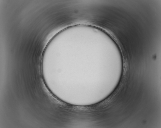 X0000115111295200912081313