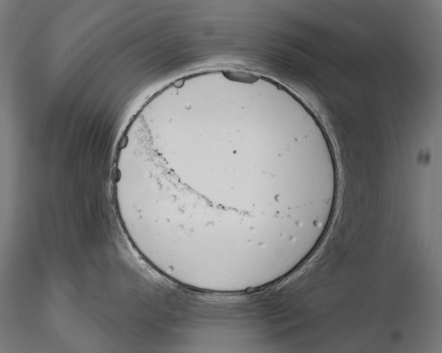 X0000115111296200912081313