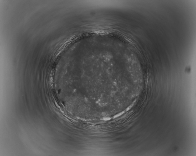 X0000115111298200912081312