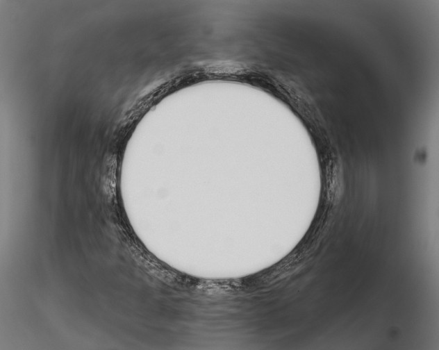 X0000115111301200912081312